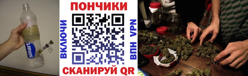 Лсд 25 Новоржев