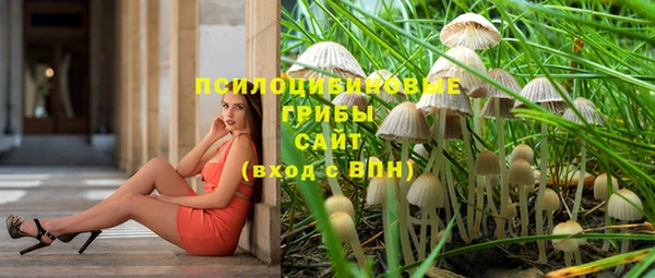 сатива Балабаново
