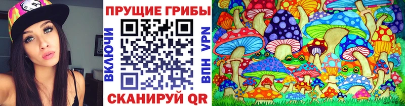 Псилоцибиновые грибы ЛСД  Новоржев 